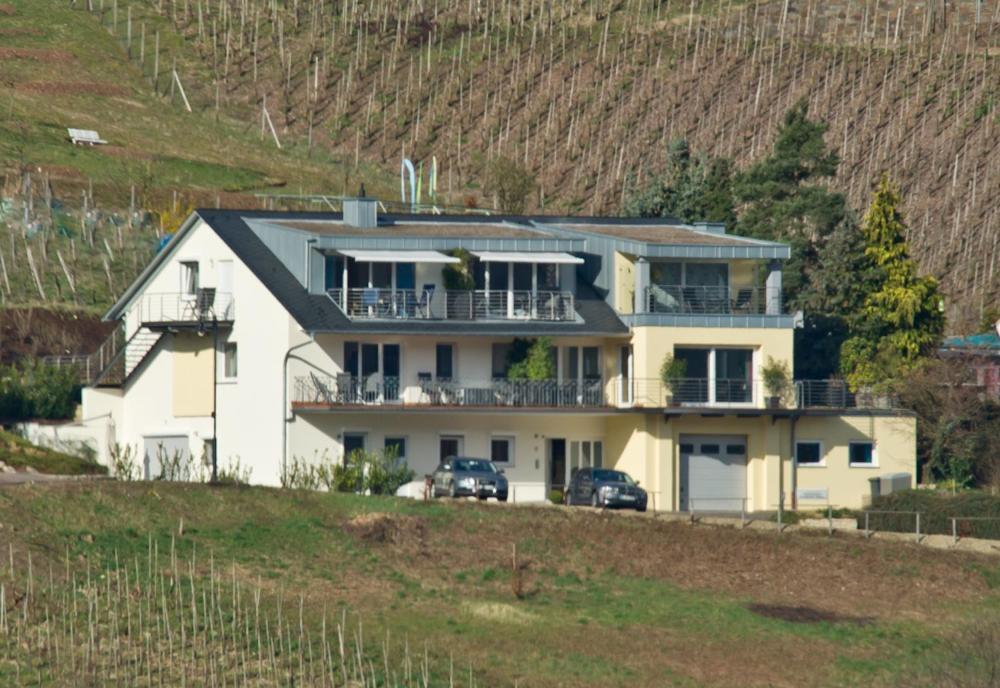 Ferienhaus Panorama Mosel Reil Zewnętrze zdjęcie