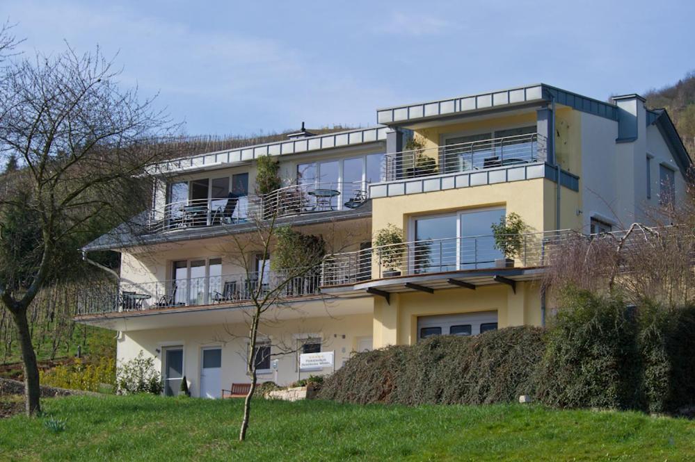 Ferienhaus Panorama Mosel Reil Zewnętrze zdjęcie