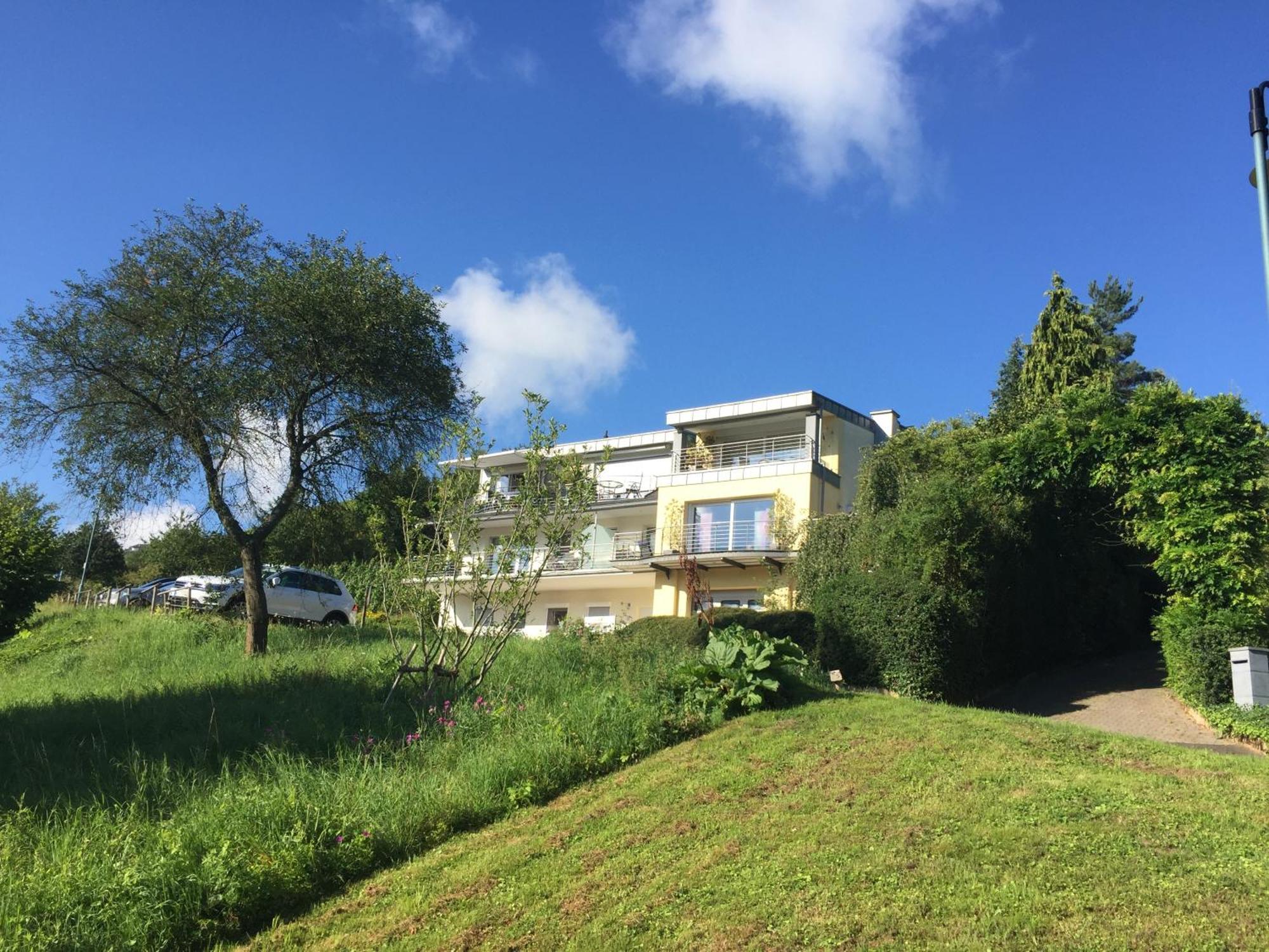 Ferienhaus Panorama Mosel Reil Zewnętrze zdjęcie